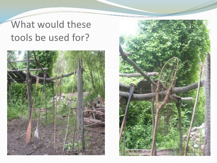 Social studies chapter 3