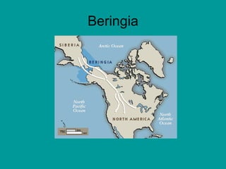Beringia 
