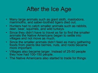 After the Ice Age Many large animals such as giant sloth, mastodons, mammoths, and saber-toothed tigers died out. Hunters had to catch smaller animals such as rabbits, deer, bear, squirrels, and wild turkeys.  Since they didn’t have to travel as far to find the smaller animals the Native Americans began to settle into villages and not move as much.  Since the smaller animals didn’t feed as many gathering foods from plants like berries, nuts, and roots became more important.  Villages also became larger. Instead of 25-50 people they now had 100-150 people.  The Native Americans also started to trade for things.  