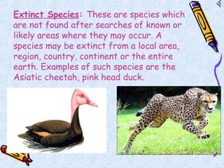 Extinct Species: These are species which
are not found after searches of known or
likely areas where they may occur. A
species may be extinct from a local area,
region, country, continent or the entire
earth. Examples of such species are the
Asiatic cheetah, pink head duck.
 