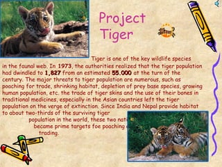 Project
Tiger
Tiger is one of the key wildlife species
in the faunal web. In 1973, the authorities realized that the tiger population
had dwindled to 1,8271,827 from an estimated 55.00055.000 at the turn of the
century. The major threats to tiger population are numerous, such as
poaching for trade, shrinking habitat, depletion of prey base species, growing
human population, etc. the trade of tiger skins and the use of their bones in
traditional medicines, especially in the Asian countries left the tiger
population on the verge of extinction. Since India and Nepal provide habitat
to about two-thirds of the surviving tiger
population in the world, these two nations
became prime targets foe poaching and illegal
trading.
 