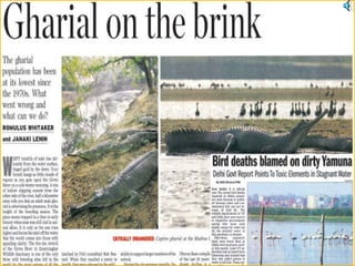 Social studies geo ppt.