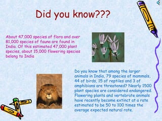 Did you know???
About 47,000 species of flora and over
81,000 species of fauna are found in
India. Of this estimated 47,000 plant
species, about 15,000 flowering species
belong to India
Do you know that among the larger
animals in India, 79 species of mammals,
44 of birds, 15 of reptiles and 3 of
amphibians are threatened? Nearly 1500
plant species are considered endangered.
Flowering plants and vertebrate animals
have recently become extinct at a rate
estimated to be 50 to 100 times the
average expected natural rate.
 