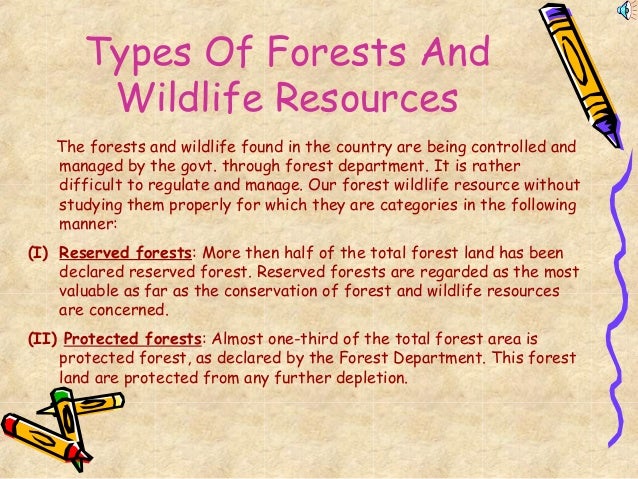 essays depletion of forest and ecological imbalance essays depletion of forest and ecological imbalance