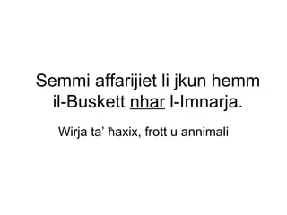 Semmi affarijiet li jkun hemm
  il-Buskett nhar l-Imnarja.
  Wirja ta’ ħaxix, frott u annimali
 