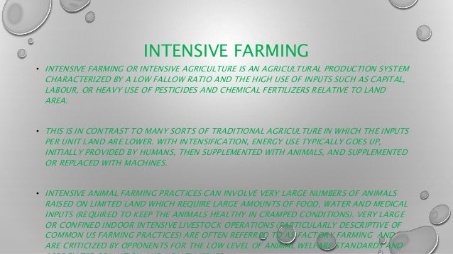 Intensive farming essay