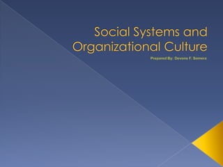 Social systems and organizational culture