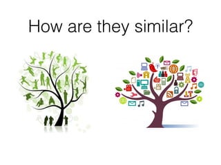 How are they similar?