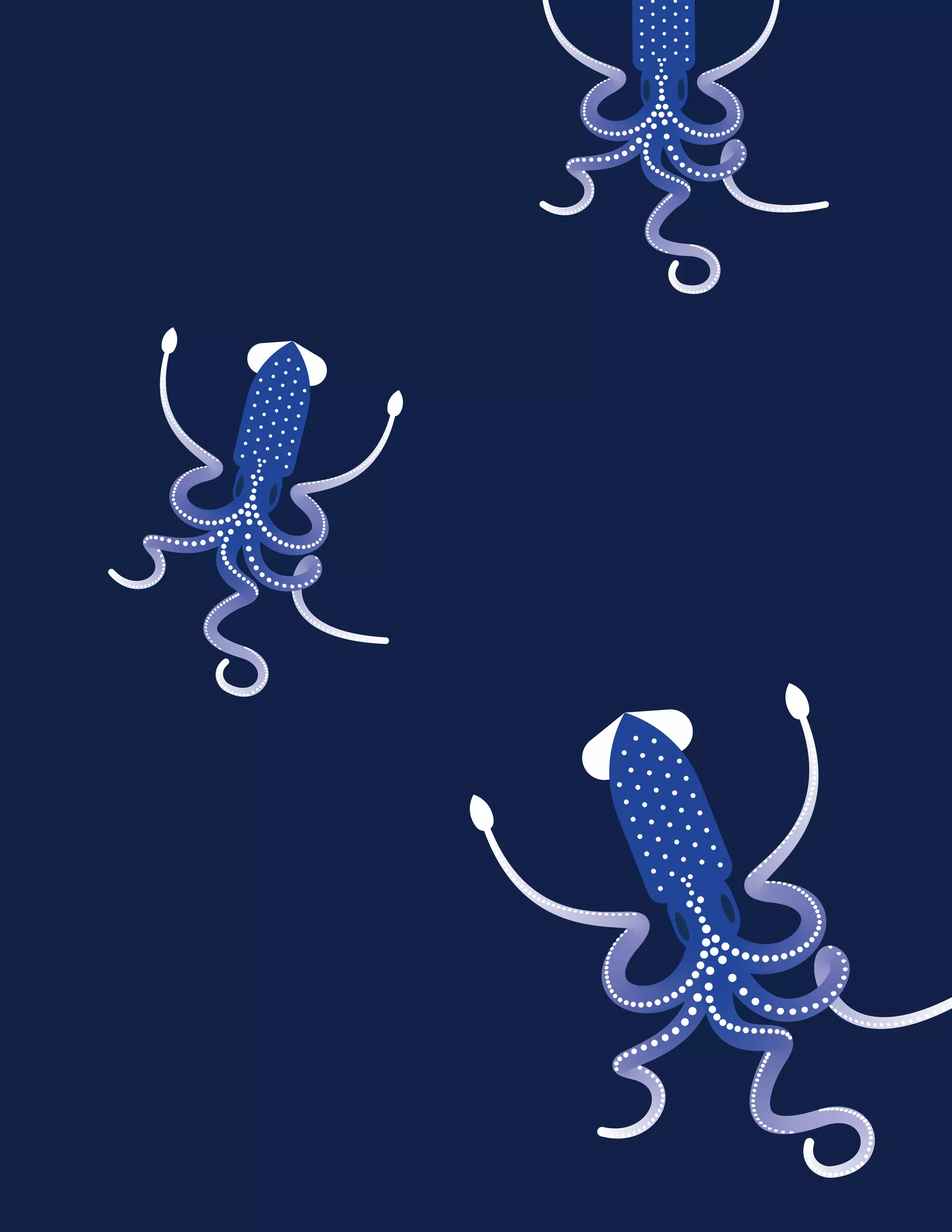 Social Trends 2021 Report - Hootsuite