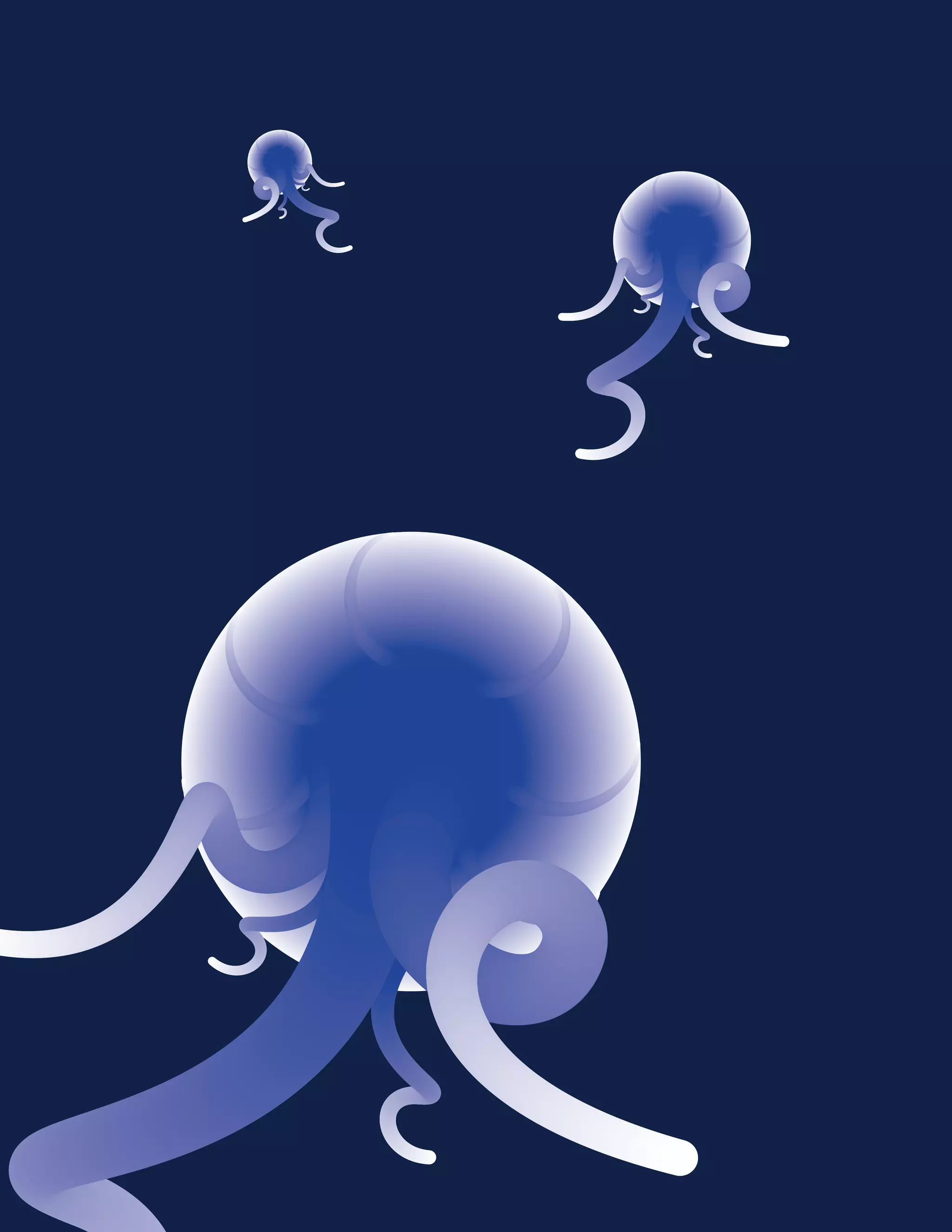 Social Trends 2021 Report - Hootsuite