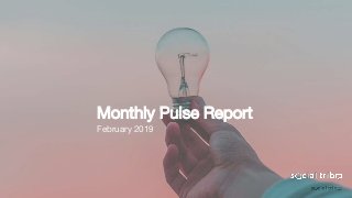 Monthly Pulse Report
February 2019
 