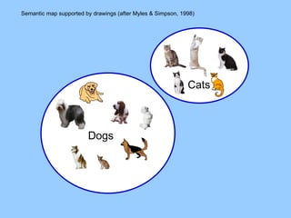 Semantic map supported by drawings (after Myles & Simpson, 1998) Dogs Cats 