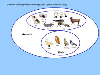 Circle Semantic map supported by drawings (after Myles & Simpson, 1998) sheep llama dog guinea  pig mouse pig Mammals 
