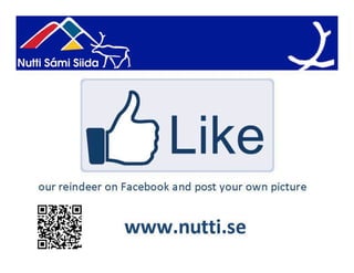 Our goal is authentic
collaboration among locals
AND national / international
     tourism players.
 