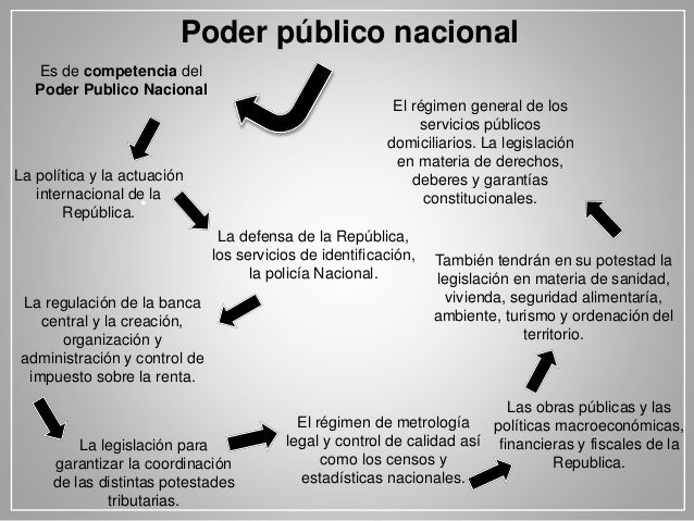 que es poder publico nacional
