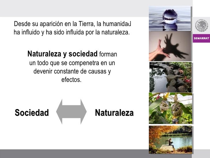 Sociedad naturaleza