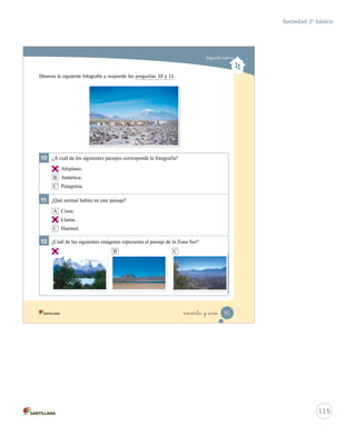 Segundo básico
10 ¿A cuál de los siguientes paisajes corresponde la fotografía?
A Altiplano.
B Antártica.
C Patagonia.
11 ¿Qué animal habita en este paisaje?
A Cisne.
B Llama.
C Huemul.
12 ¿Cuál de las siguientes imágenes representa el paisaje de la Zona Sur?
Observa la siguiente fotografía y responde las preguntas 10 y 11.
A B C
91noventa y _uno
Prueba integrativa_1 2°.indd 91 16-06-12 0:19
115
Sociedad 2º básico
A
B
A
 