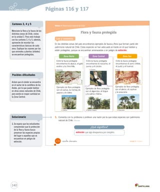 Módulo 4 / Patrimonio natural de Chile
116 Unidad 3 / Historia_ciento _dieciséis
Flora y fauna protegida
En las distintas zonas del país encontramos ejemplos de fauna y flora que forman parte del
patrimonio natural de Chile. Estas especies se han adecuado al medio en el que habitan y
están protegidas, porque se encuentran amenazadas o en peligro de extinción.
Lee y comenta
Entre la fauna protegida
encontramos la vizcacha, el
puma y el cóndor.
Entre la fauna protegida
encontramos el zorro chilote,
el pudú y el huemul.
Ejemplos de flora protegida
son el algarrobo, el lingue
y la palma chilena.
Ejemplos de flora protegida
son el alerce, el copihue
y la araucaria.
extinción: que algo desaparezca por completo.
¿Qué significa?
Conaf
Zona Norte Zona SurZona Central
1. Comenta con tu profesora o profesor una razón por la que estas especies son patrimonio
natural de Chile. Discutir
Entre la fauna protegida
encontramos la alpaca, el gato
andino y la chinchilla.
Ejemplos de flora protegida
son el cactus, la michay de
paposo y la dalea.
Conaf
Chinchilla.
Cactus. Palma chilena. Araucaria.
Cóndor. Pudú.
SOC2 U3 P96-131.indd 116 16-06-12 0:25
140
Páginas 116 y 117
Mencione la flora y la fauna de las
distintas zonas de Chile, vistas
en la unidad 2. Para esto trabaje
con los cartones 3, 4 y 5; además,
aproveche de recordar las
características básicas de cada
zona. Explique las razones por las
que animales y plantas (árboles)
se encuentran protegidas.
Cartones 3, 4 y 5
1. Se espera que los estudiantes
comprendan que la protección
de la flora y fauna busca
preservar las especies propias
del lugar o aquellas que se
encuentran en peligro de
extinción.
Solucionario
Posibles dificultades
Aclare que el cóndor se encuentra
en el sector de la cordillera de los
Andes, por lo que puede habitar
en otras zonas naturales de Chile,
pero existe en mayor cantidad en
la Zona Central.
 
