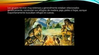 Los grupos no eran muy extensos y generalmente estaban relacionados
genéticamente, construían sus refugios de madera, paja, pieles o hojas, aunque
mayoritariamente buscaban refugio en cuevas.
 