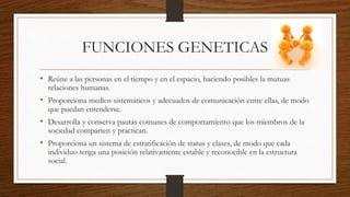 FUNCIONES GENETICAS
• Reúne a las personas en el tiempo y en el espacio, haciendo posibles la mutuas
relaciones humanas.
• Proporciona medios sistemáticos y adecuados de comunicación entre ellas, de modo
que puedan entenderse.
• Desarrolla y conserva pautas comunes de comportamiento que los miembros de la
sociedad comparten y practican.
• Proporciona un sistema de estratificación de status y clases, de modo que cada
individuo tenga una posición relativamente estable y reconocible en la estructura
social.
 