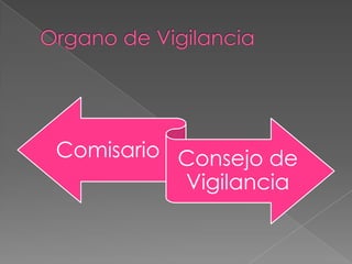 Comisario Consejo de
          Vigilancia
 