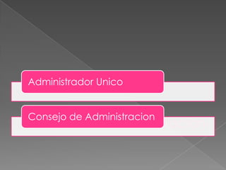 Administrador Unico


Consejo de Administracion
 
