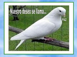 Nuestro deseo se llama... PAZ 