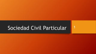 Sociedad Civil Particular 1
 