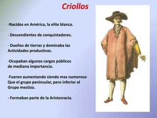  Eran un grupo minoritario.CriollosNacidos en América, la elite blanca.