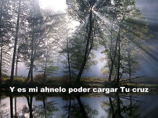 Y es mi ahnelo poder cargar Tu cruz 