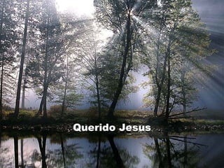 Querido Jesus 