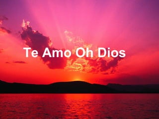 Te Amo Oh Dios 