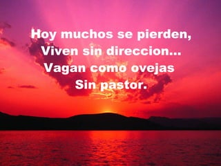 Hoy muchos se pierden, Viven sin direccion… Vagan como ovejas  Sin pastor. 