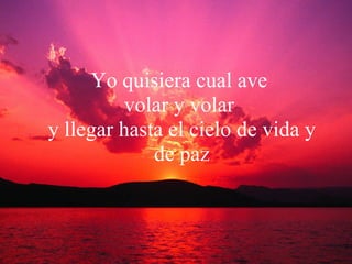 Yo quisiera cual ave  volar y volar  y llegar hasta el cielo de vida y de paz 