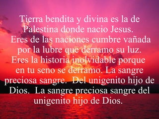 Tierra bendita y divina es la de Palestina donde nacio Jesus.   Eres de las naciones cumbre vañada por la lubre que derramo su luz. Eres la historia inolvidable porque  en tu seno se derramo. La sangre preciosa sangre.  Del unigenito hijo de Dios.  La sangre preciosa sangre del unigenito hijo de Dios.  