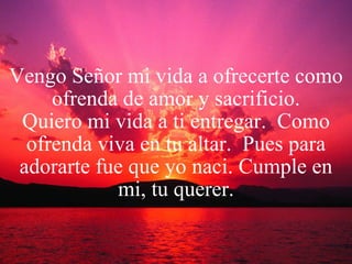 Vengo Señor mi vida a ofrecerte como ofrenda de amor y sacrificio. Quiero mi vida a ti entregar.  Como ofrenda viva en tu altar.  Pues para adorarte fue que yo naci. Cumple en mi, tu querer. 