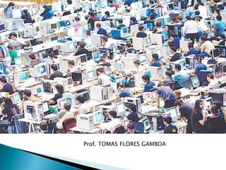 Prof. TOMAS FLORES GAMBOA 