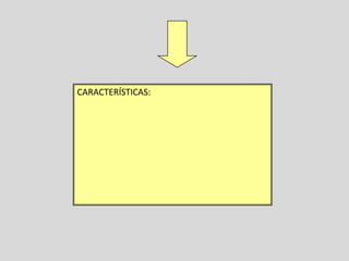 CARACTERÍSTICAS:
 