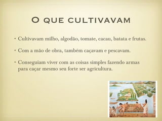 O que cultivavam
• Cultivavam milho, algodão, tomate, cacau, batata e frutas.

• Com a mão de obra, também caçavam e pescavam.

• Conseguiam viver com as coisas simples fazendo armas
  para caçar mesmo seu forte ser agricultura.
 