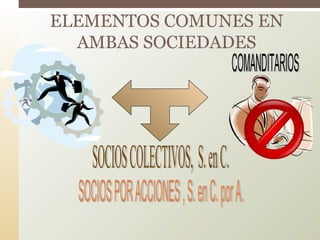 ELEMENTOS COMUNES EN
AMBAS SOCIEDADES
 