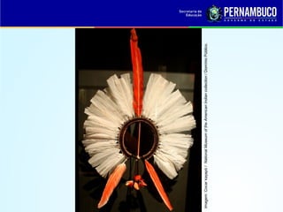 Imagem: Cocar kayapó /  National Museum of the American Indian collection / Domínio Público.
 