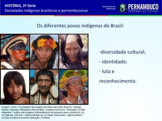 HISTÓRIA, 2ª Série
   Sociedades indígenas brasileiras e pernambucanas


                                   Os diferentes povos indígenas do Brasil:



                                                                                       -diversidade cultural;
                                                                                       - identidade;
                                                                                       - luta e
                                                                                       reconhecimento.



Imagem: Lecen / Compilação de imagens de índios das tribos Assurini, Tapirajé,
Kaiapó, Kapirapé, Rikbaktsa e Bororo-Boe / Creative Commons - Atribuição 3.0 Não
Adaptada / autoria das imagens individualmente da esquerda para a direita (a), (b),
(d) Agência; (c)Funai – Agência Brasil; (e), (f) Valter Campanato - Agência Brasil -
Licença Creative Commons Atribuição 3.0 Brasil.
 