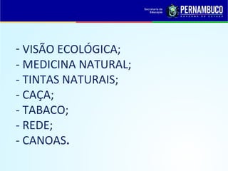 - VISÃO ECOLÓGICA;
- MEDICINA NATURAL;
- TINTAS NATURAIS;
- CAÇA;
- TABACO;
- REDE;
- CANOAS.
 