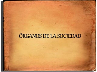 ÓRGANOS DE LA SOCIEDAD
 