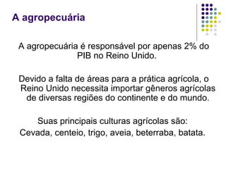 A agropecuária
A agropecuária é responsável por apenas 2% do
PIB no Reino Unido.
Devido a falta de áreas para a prática agrícola, o
Reino Unido necessita importar gêneros agrícolas
de diversas regiões do continente e do mundo.
Suas principais culturas agrícolas são:
Cevada, centeio, trigo, aveia, beterraba, batata.
 