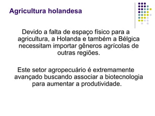 Agricultura holandesa
Devido a falta de espaço físico para a
agricultura, a Holanda e também a Bélgica
necessitam importar gêneros agrícolas de
outras regiões.
Este setor agropecuário é extremamente
avançado buscando associar a biotecnologia
para aumentar a produtividade.
 
