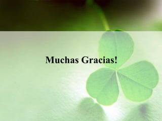 Muchas Gracias!
 