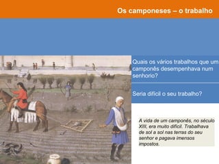 Os camponeses – o trabalho
Quais os vários trabalhos que um
camponês desempenhava num
senhorio?
Tosquiar as ovelhas
Ceifar campos
Malhar o cereal
Pisar as uvas
Matar o porco
Seria difícil o seu trabalho?
A vida de um camponês, no século
XIII, era muito difícil. Trabalhava
de sol a sol nas terras do seu
senhor e pagava imensos
impostos.
 