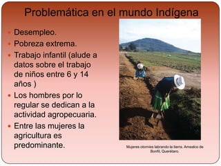 Sociedad Investigacion Indigena12