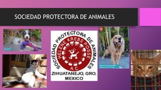 SOCIEDAD PROTECTORA DE ANIMALES
 